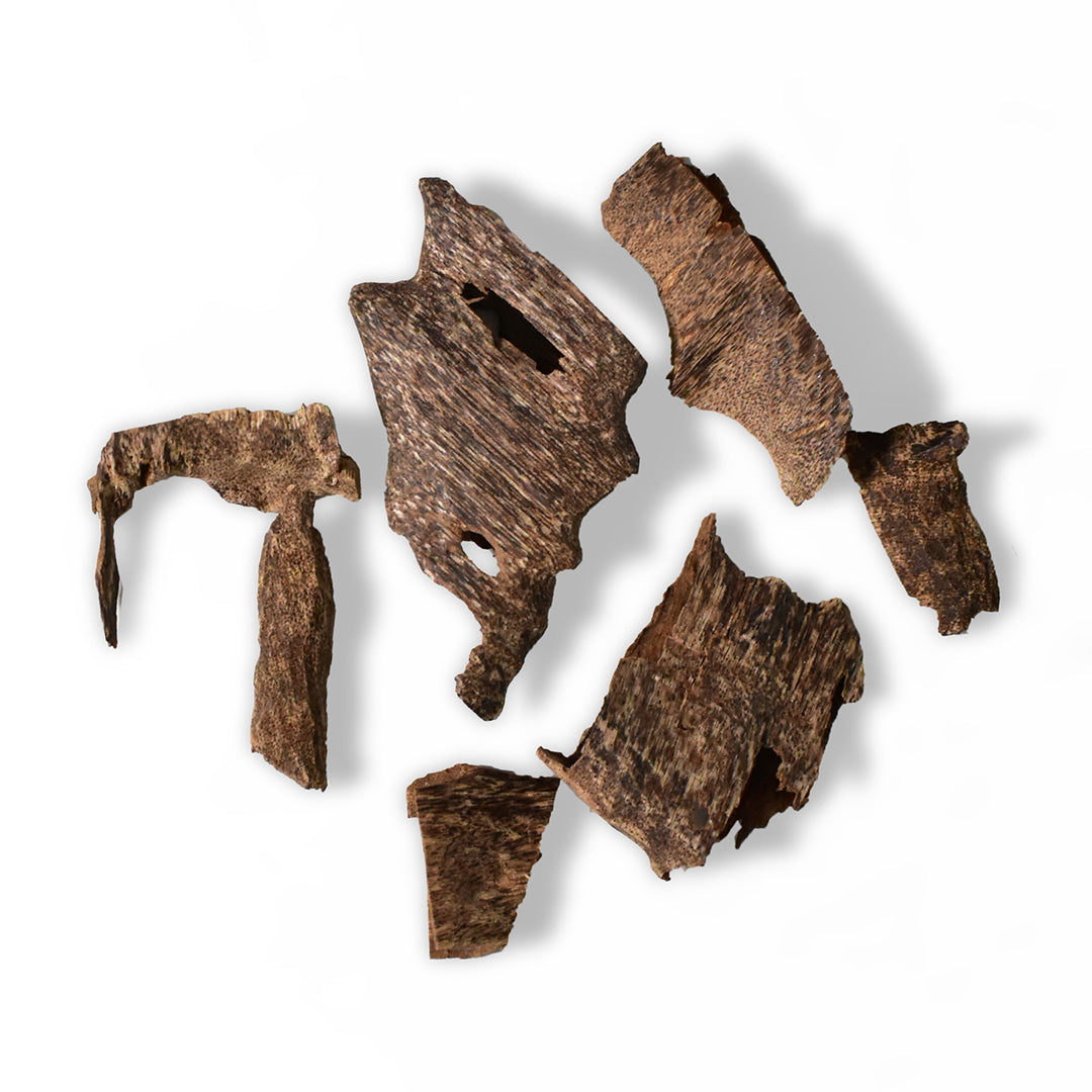 Trad Oud